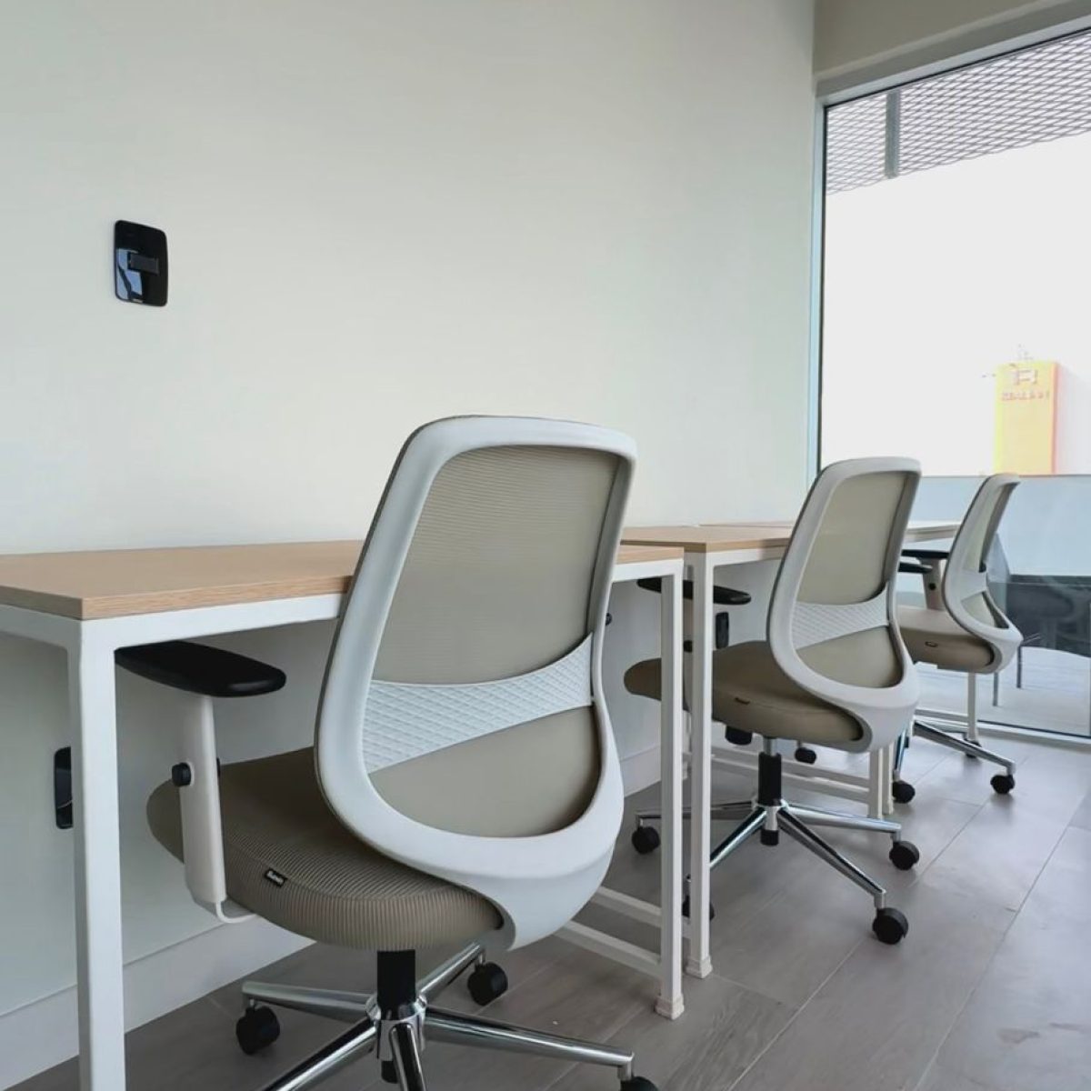 WhatsApp Image 2025-12-28 at 10.00.12 (1)